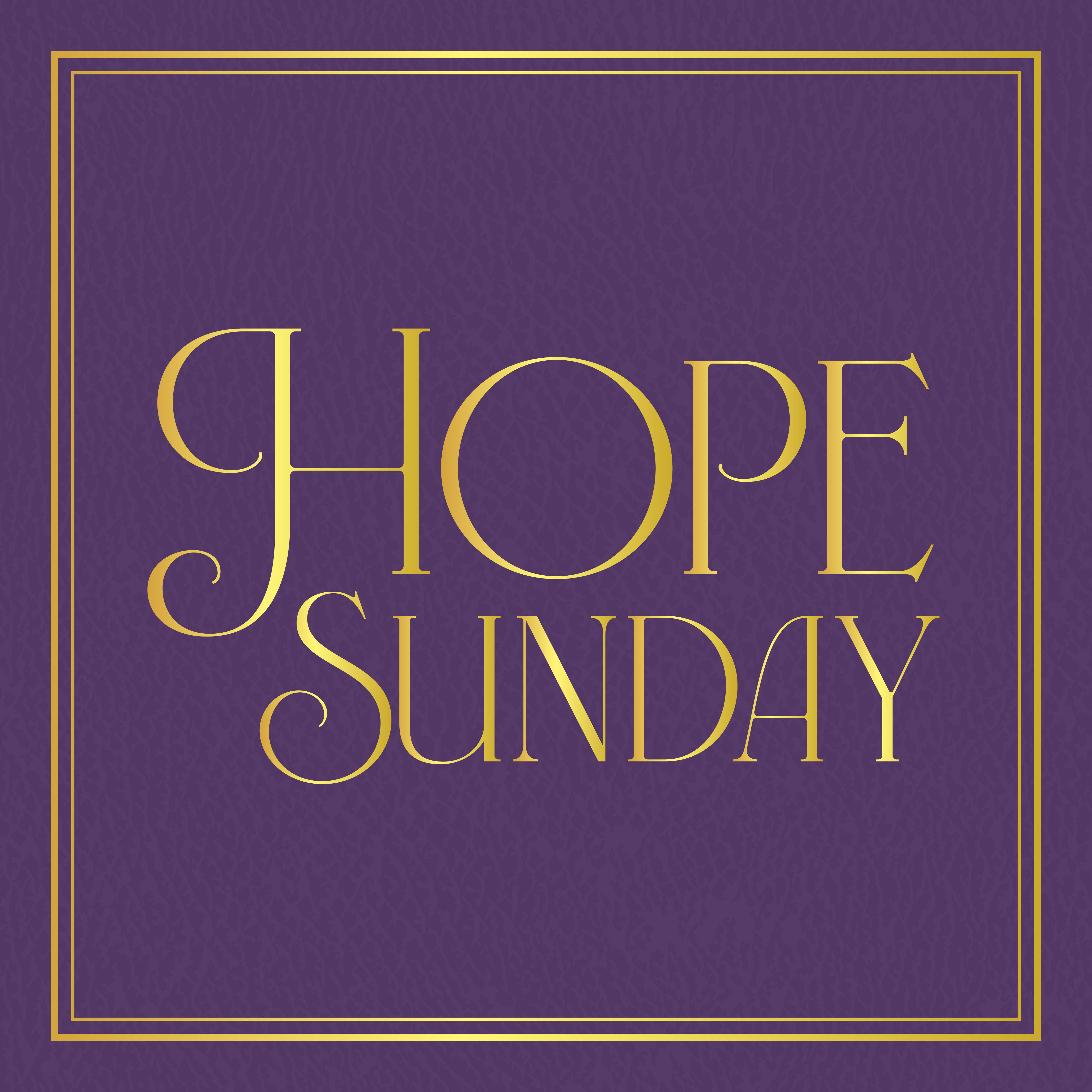 purple leather book cover with hope sunday written across in gold