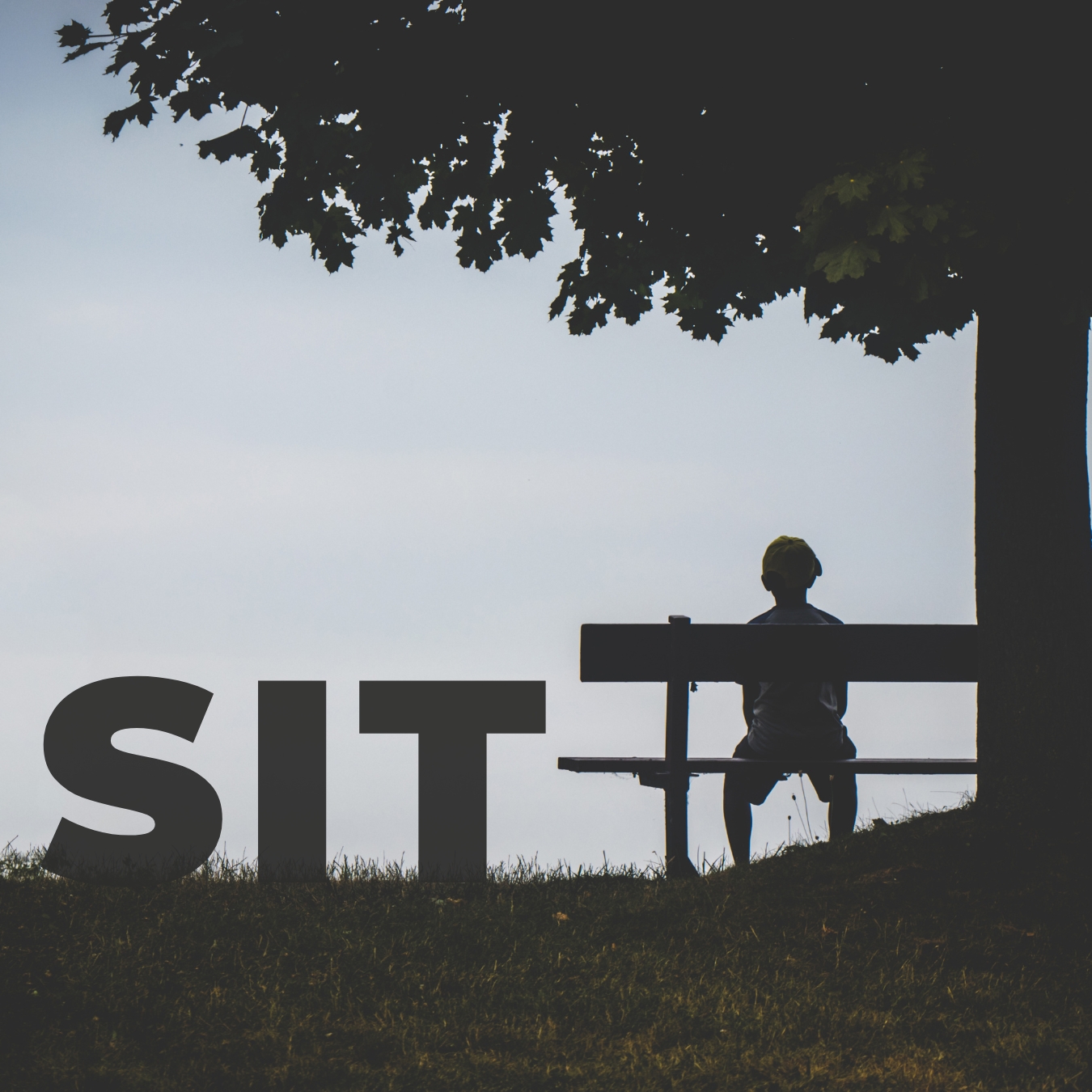 small child sitting on a bench next to a tree