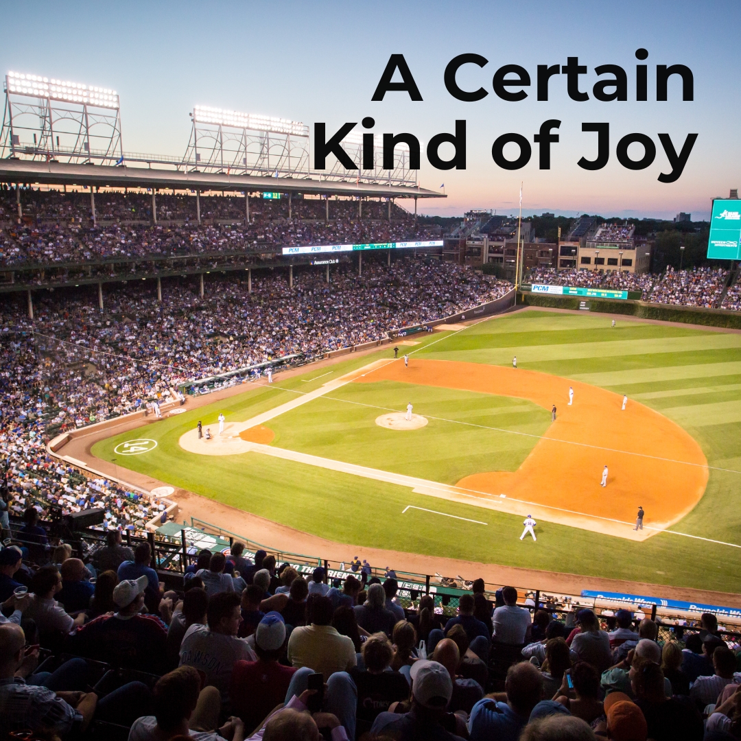 picture of a baseball field with fans in the stands