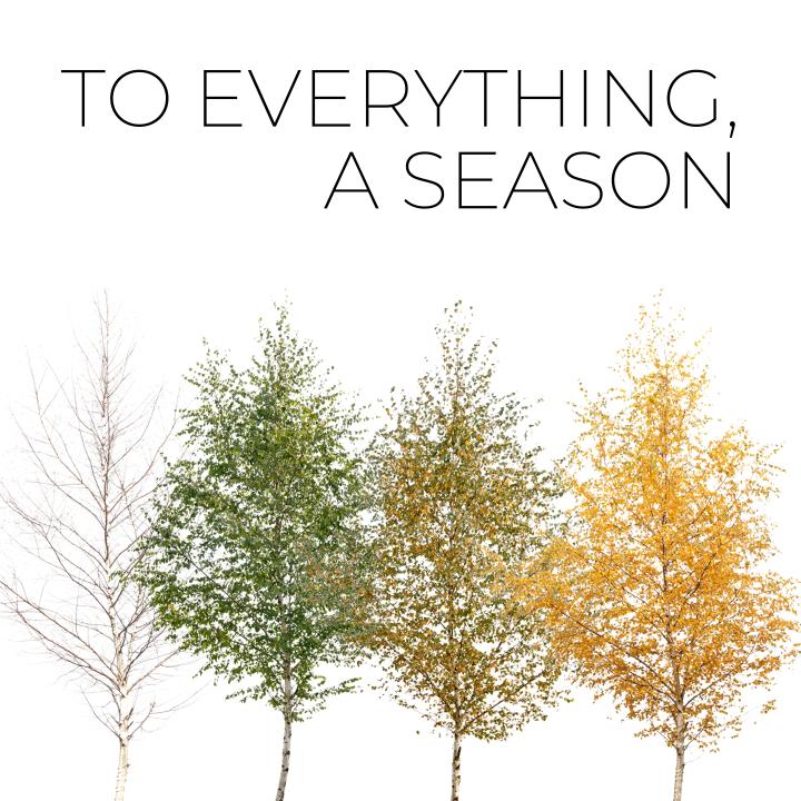 pictures of trees at different seasons