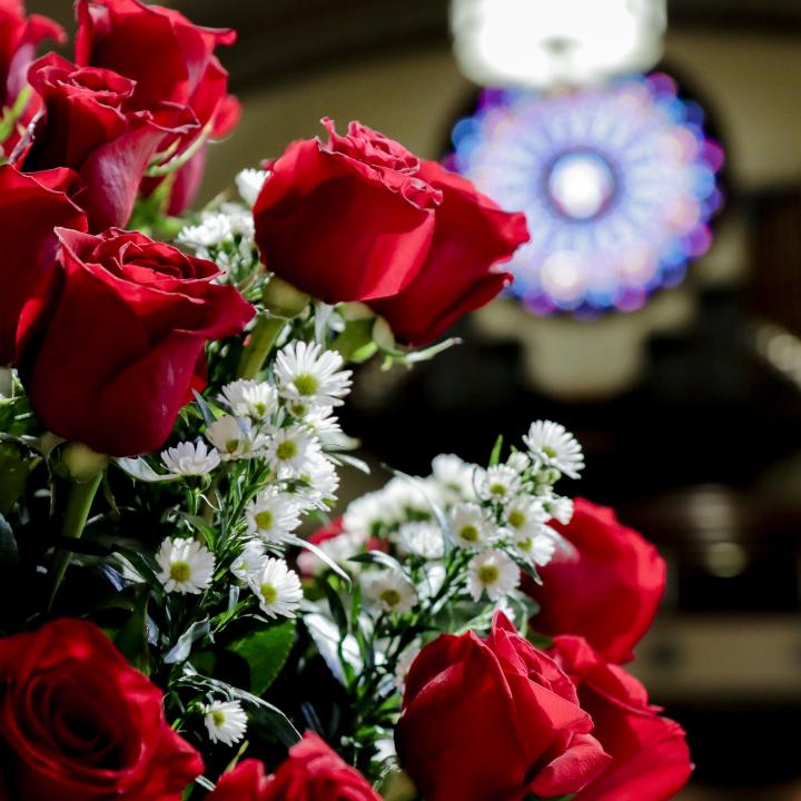 red roses