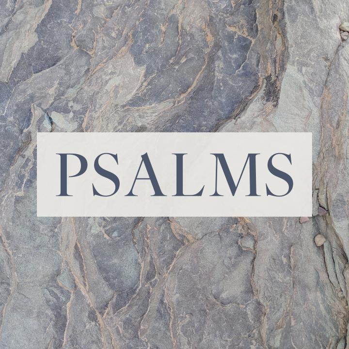 close up image of a rock with psalms written across